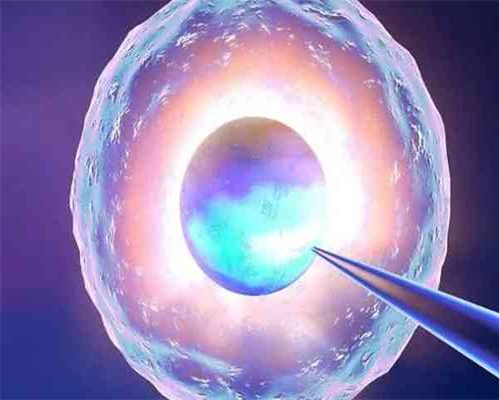 苏州三代试管科普|子宫内膜薄不孕，拉拉家庭如何科学备孕？